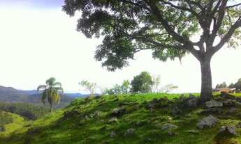 Imagem 4: Sítio com 3 Dormitorio(s) localizado(a) no bairro Antônia Cândida I em Brejo Santo / Rio