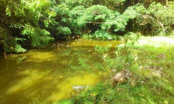 Imagem 5: Sítio com 3 Dormitorio(s) localizado(a) no bairro Antônia Cândida I em Brejo Santo / Rio