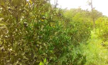 Imagem 5: Sítio com 3 Dormitorio(s) localizado(a) no bairro Antônia Cândida I em Brejo Santo / Rio