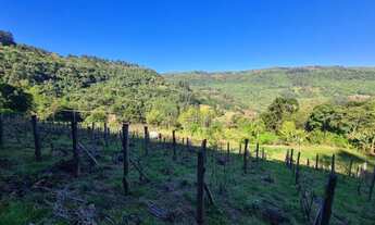 Imagem 1: Sítio com 2 Dormitorio(s) localizado(a) no bairro Novo Santa Inês em Brejo Santo / Rio Gr