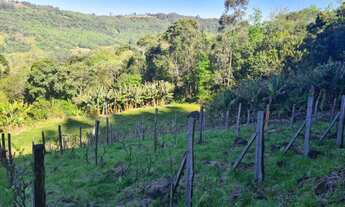 Imagem 4: Sítio com 2 Dormitorio(s) localizado(a) no bairro Novo Santa Inês em Brejo Santo / Rio Gr