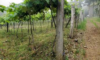 Imagem 7: Sítio com 4 Dormitorio(s) localizado(a) no bairro em Brotas (Miraíma) / Rio Grande do Su