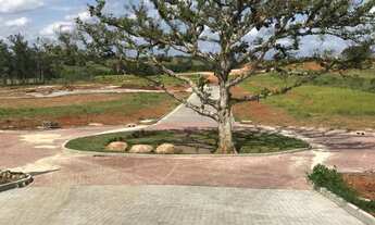 Imagem: Terrenos a venda N.S. Rita