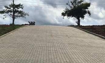 Imagem 4: Terrenos a venda N.S. Rita