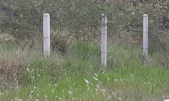 Imagem: Vogel Haus vende terreno de esquina no Bairro