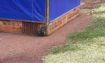 Imagem 5: Área de terra/Chácara com 57 000 m² a venda em Arvoredo. Apena 24 Km do centro de Chapecó