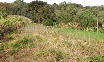 Imagem 6: Chácara á venda no Interior de Chapecó com 50% de mata nativa