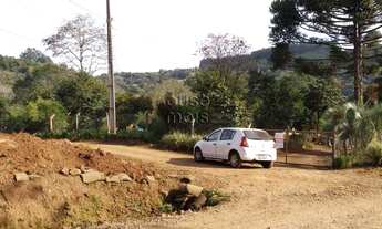 Imagem 4: Chácara á venda no Interior de Chapecó com 50% de mata nativa