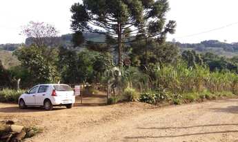 Imagem 5: Chácara á venda no Interior de Chapecó com 50% de mata nativa