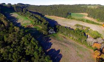 Imagem 6: Chácara localizada ao lado da cidade de Getúlio Vargas