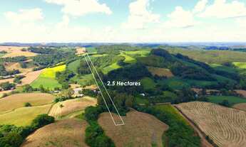 Imagem: Chácara com 2.5 hectares localizada ao