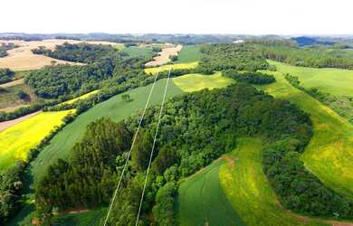 Imagem 4: Chácara com 2.5 hectares localizada ao lado da cidade de Getúlio Vargas