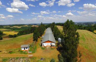 Imagem 2: Aviário em pleno funcionamento localizado a 2km da cidade de Floriano Peixoto