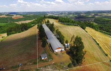 Imagem 3: Aviário em pleno funcionamento localizado a 2km da cidade de Floriano Peixoto