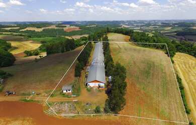 Imagem 4: Aviário em pleno funcionamento localizado a 2km da cidade de Floriano Peixoto