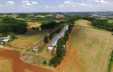 Imagem 5: Aviário em pleno funcionamento localizado a 2km da cidade de Floriano Peixoto