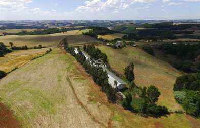 Imagem 6: Aviário em pleno funcionamento localizado a 2km da cidade de Floriano Peixoto