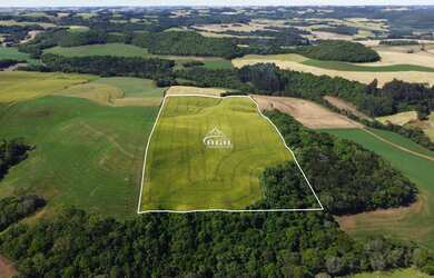 Imagem 5: Área Rural de excelente produtividade em Souza Ramos!