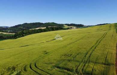 Imagem 7: Área Rural de excelente produtividade em Souza Ramos!