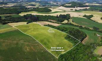 Imagem: Área Rural de excelente produtividade em