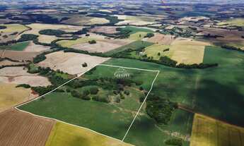 Imagem 4: 28.7 hectares no interior de Sertão! Veja!