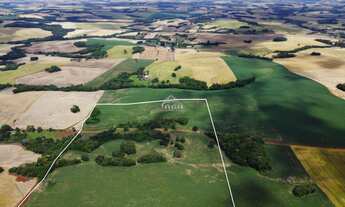 Imagem 6: 28.7 hectares no interior de Sertão! Veja!