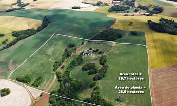 Imagem 1: 28.7 hectares no interior de Sertão! Veja!