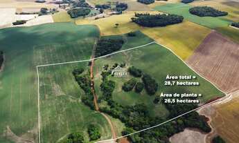 Imagem 2: 28.7 hectares no interior de Sertão! Veja!