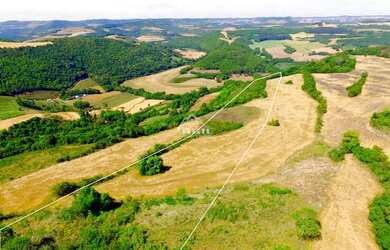 Imagem 6: Área rural na Linha Vieceli, em Charrua