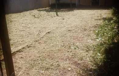 Imagem 3: TERRENO-CENTRO -ESTANCIA VELHA