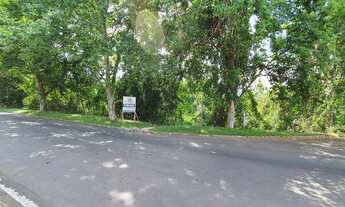 Imagem 2: Área de terras em Ivoti