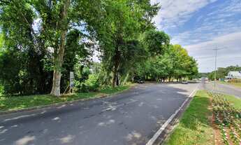 Imagem 3: Área de terras em Ivoti