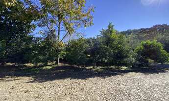 Imagem 4: Terreno bairro Floresta