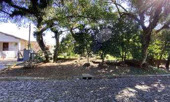 Imagem 6: Terreno bairro Floresta