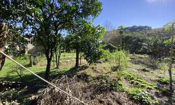 Imagem 7: Terreno bairro Floresta