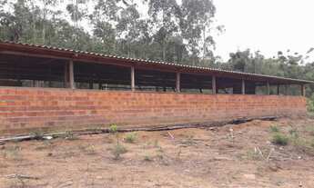 Imagem 3: Área de Terra em Presidente Lucena