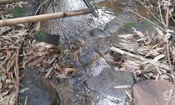 Imagem 4: Área de Terra em Presidente Lucena