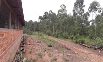 Imagem 5: Área de Terra em Presidente Lucena