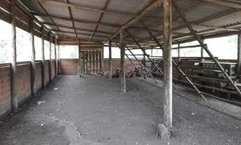 Imagem 6: Área de Terra em Presidente Lucena