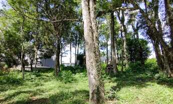 Imagem 2: Terreno no bairro Harmonia