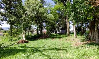 Imagem 3: Terreno no bairro Harmonia