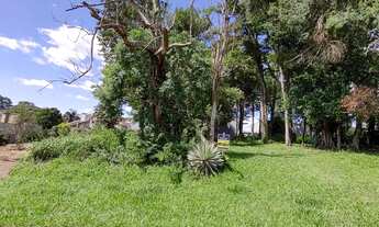 Imagem 5: Terreno no bairro Harmonia