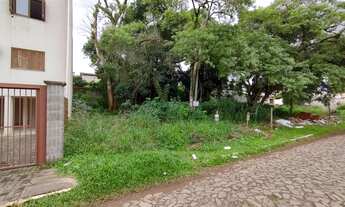 Imagem 3: Terrenos no bairro Cidade Nova - Ivoti