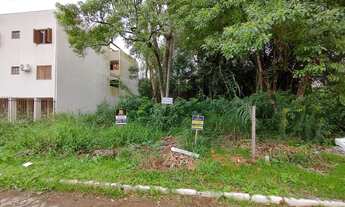 Imagem 4: Terrenos no bairro Cidade Nova - Ivoti