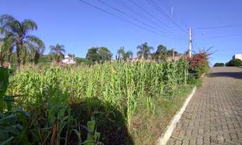 Imagem 3: Terreno bairro Boa Vista - Lindolfo Collor