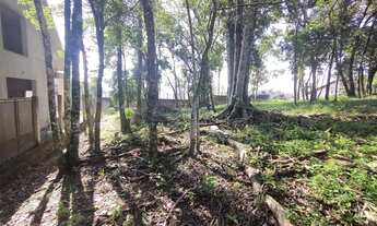 Imagem 4: Excelente terreno com vista panorâmica em Ivoti