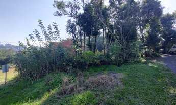 Imagem 2: Ótimo terreno em área nobre de Ivoti