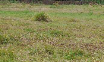 Imagem: Amplo terreno, 456M² de Área Total