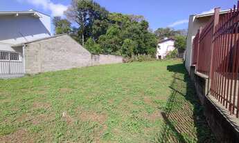 Imagem 2: Excelente terreno no Floresta