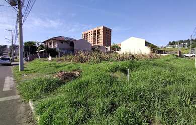 Imagem 3: Excelente terreno comercial em Ivoti